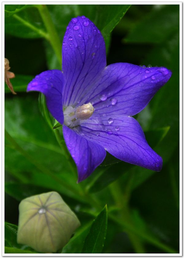 淋雨一直走歌词_淋雨一直走_淋雨一直走舞蹈