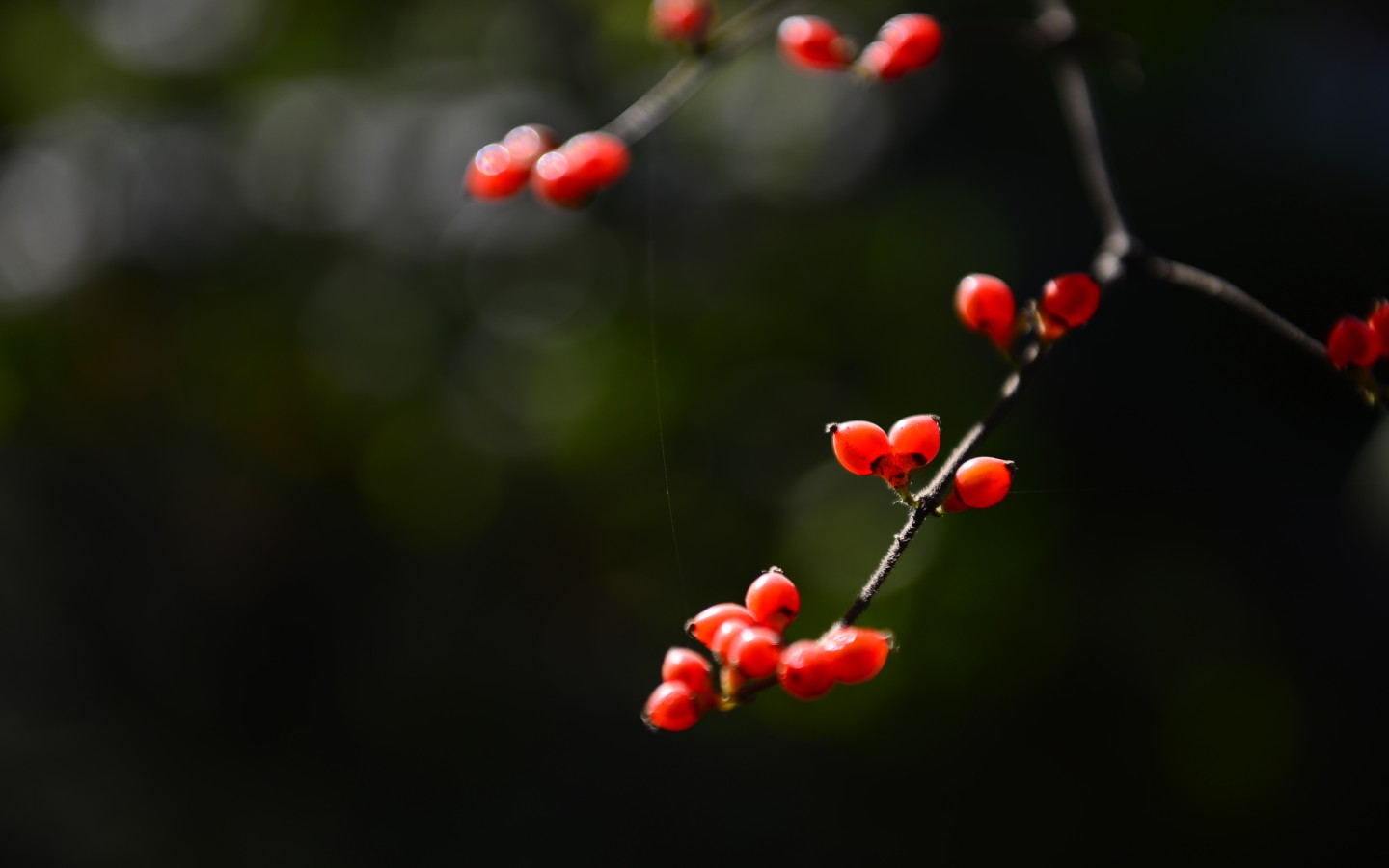 2019-11- 00:42ṩȫĹۺ춹̳Ƶʸ,Ʒ!