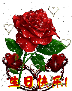 240_300竖版 竖屏gif 动态图 动图