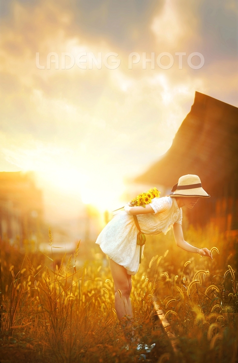 【转帖】金色时光